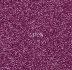 Ковровая плитка Forbo Tessera Basis 374 Raspberry фото 1 | FLOORDEALER